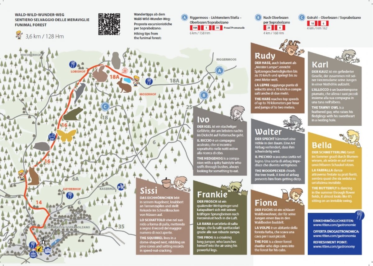 Wald-Wild-Wunder-Weg